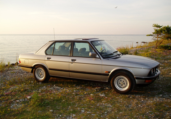 BMW 518 (E28) 1981–84 photos