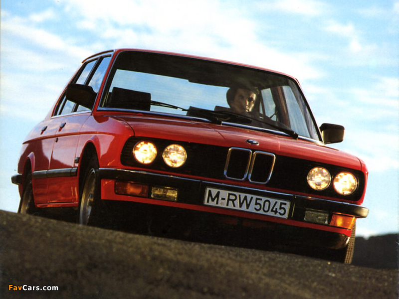 BMW 518i (E28) 1984–88 pictures (800 x 600)