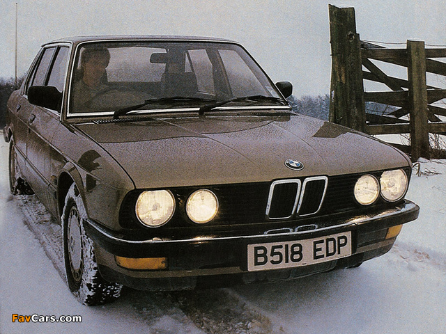 BMW 518i UK-spec (E28) 1984–88 wallpapers (640 x 480)
