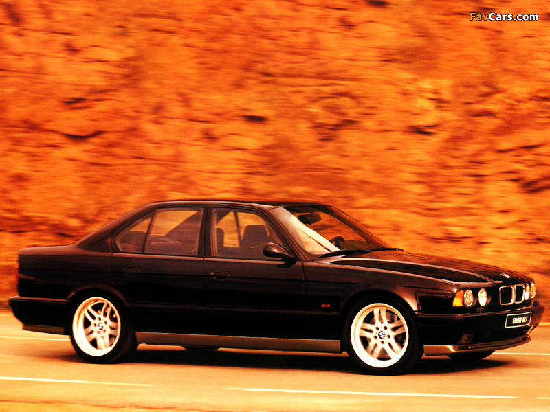 BMW M5 Sedan (E34) 1994–95 pictures (800 x 600)