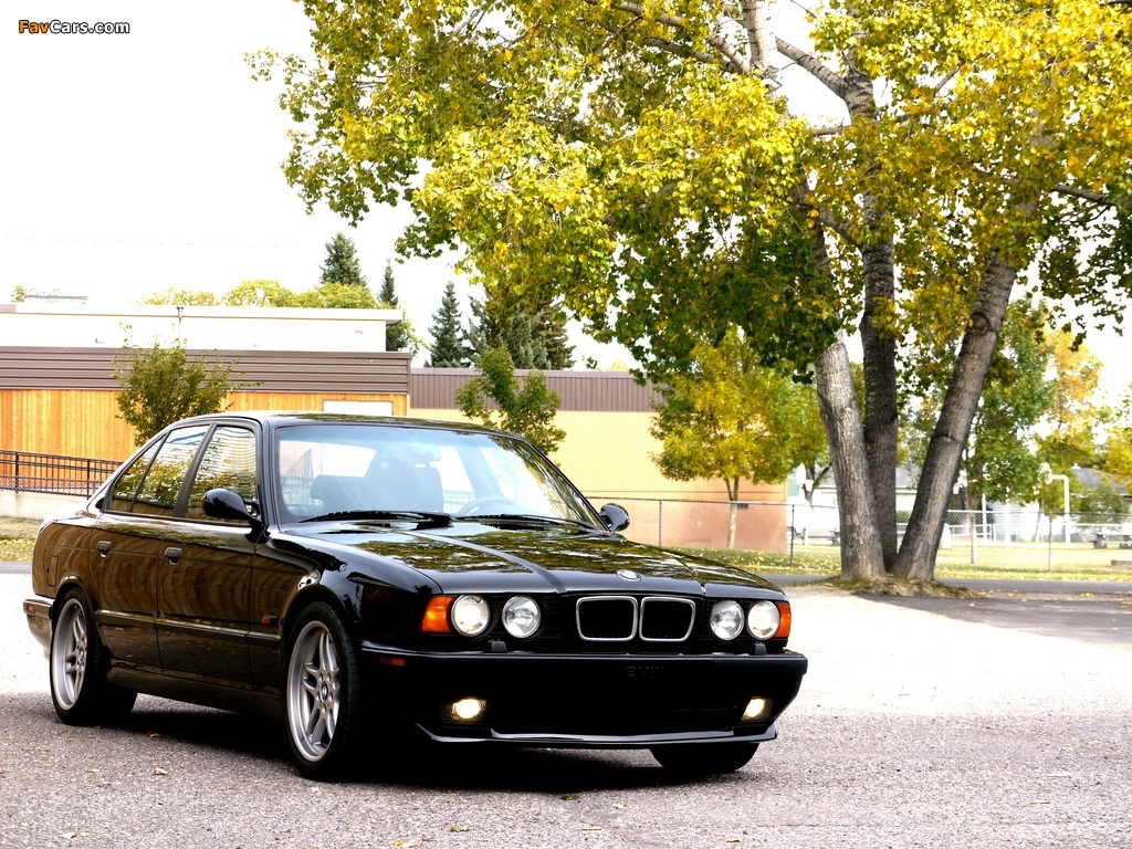 BMW M540i (E34) 1995 photos (1024 x 768)