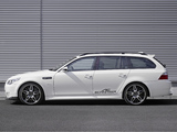 AC Schnitzer ACS5 Sport Touring (E61) 2007–10 wallpapers