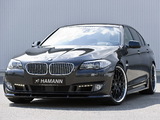 Hamann BMW 5 Series (F10) 2010 images