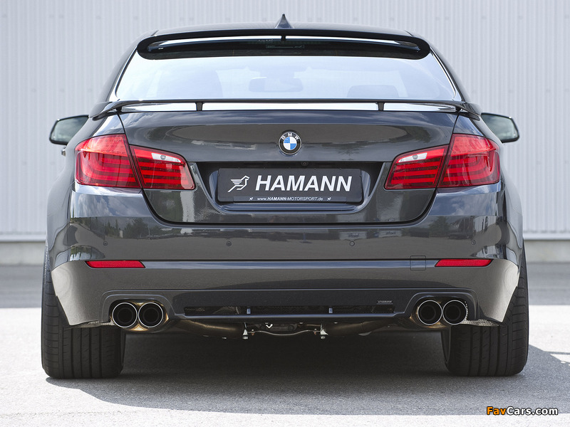 Hamann BMW 5 Series (F10) 2010 wallpapers (800 x 600)