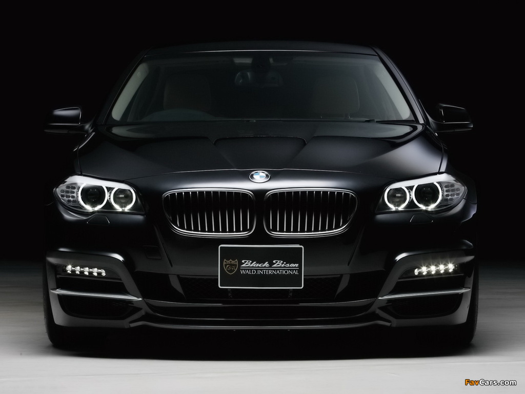 WALD BMW 5 Series Black Bison Edition (F10) 2011 photos (1024 x 768)