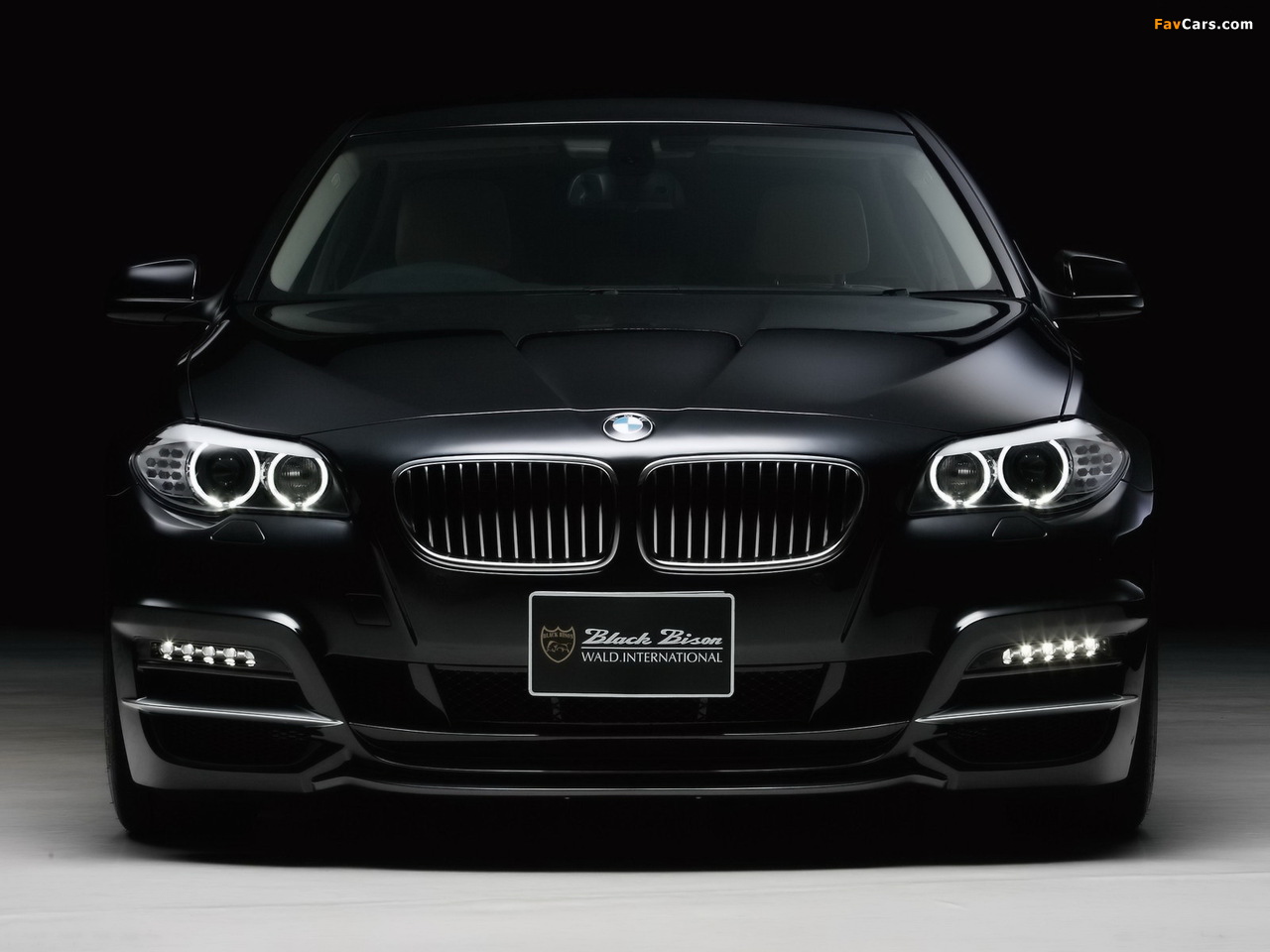 WALD BMW 5 Series Black Bison Edition (F10) 2011 photos (1280 x 960)