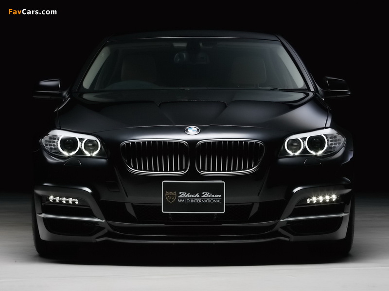 WALD BMW 5 Series Black Bison Edition (F10) 2011 photos (800 x 600)