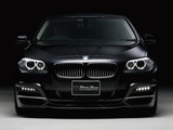 WALD BMW 5 Series Black Bison Edition (F10) 2011 photos