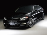 WALD BMW 5 Series Black Bison Edition (F10) 2011 wallpapers