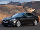 BMW 520i Sedan Luxury Line ZA-spec (F10) 2013 photos