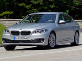 BMW 530d Sedan Luxury Line (F10) 2013 wallpapers