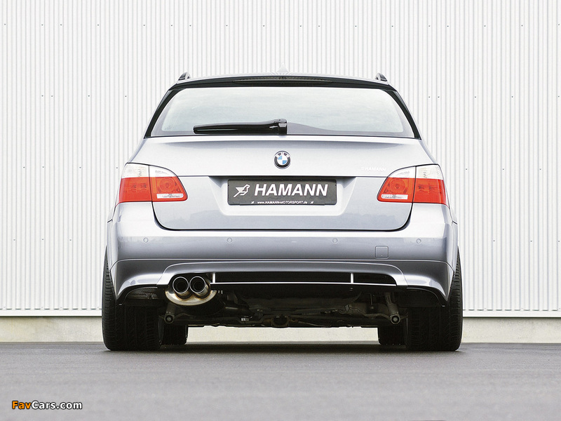 Hamann BMW 5 Series Touring (E61) images (800 x 600)