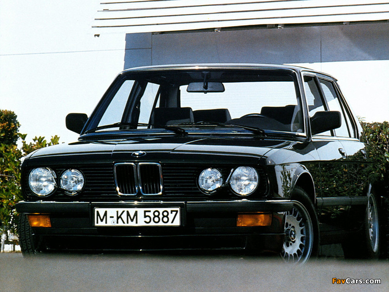 BMW 528i Sedan (E28) 1981–87 photos (800 x 600)