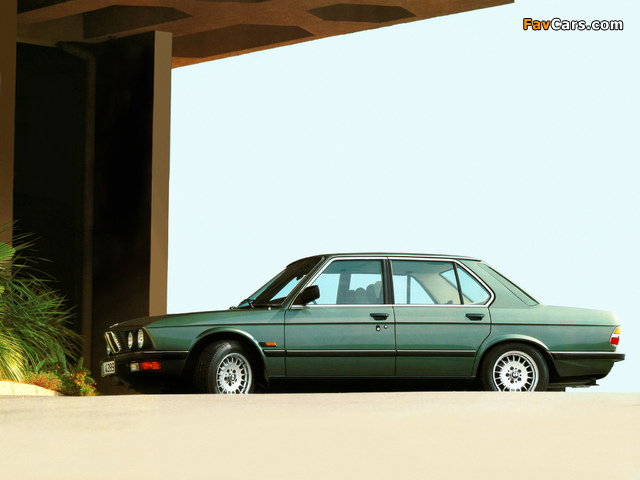 BMW 528i Sedan (E28) 1981–87 pictures (640 x 480)