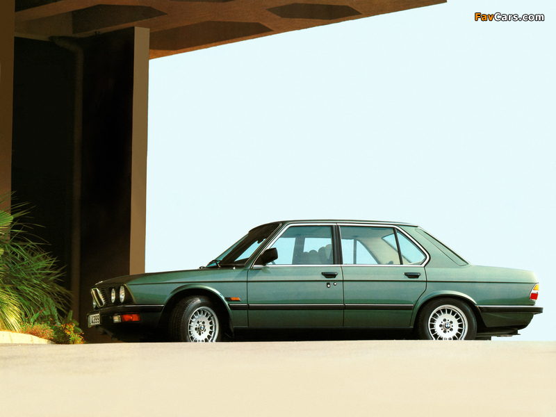 BMW 528i Sedan (E28) 1981–87 pictures (800 x 600)