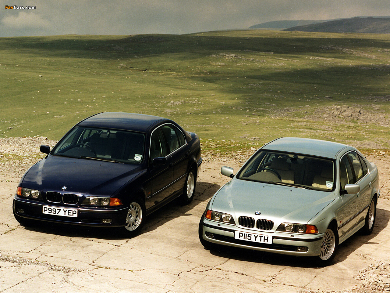 BMW 5 Series E39 pictures (1280 x 960)