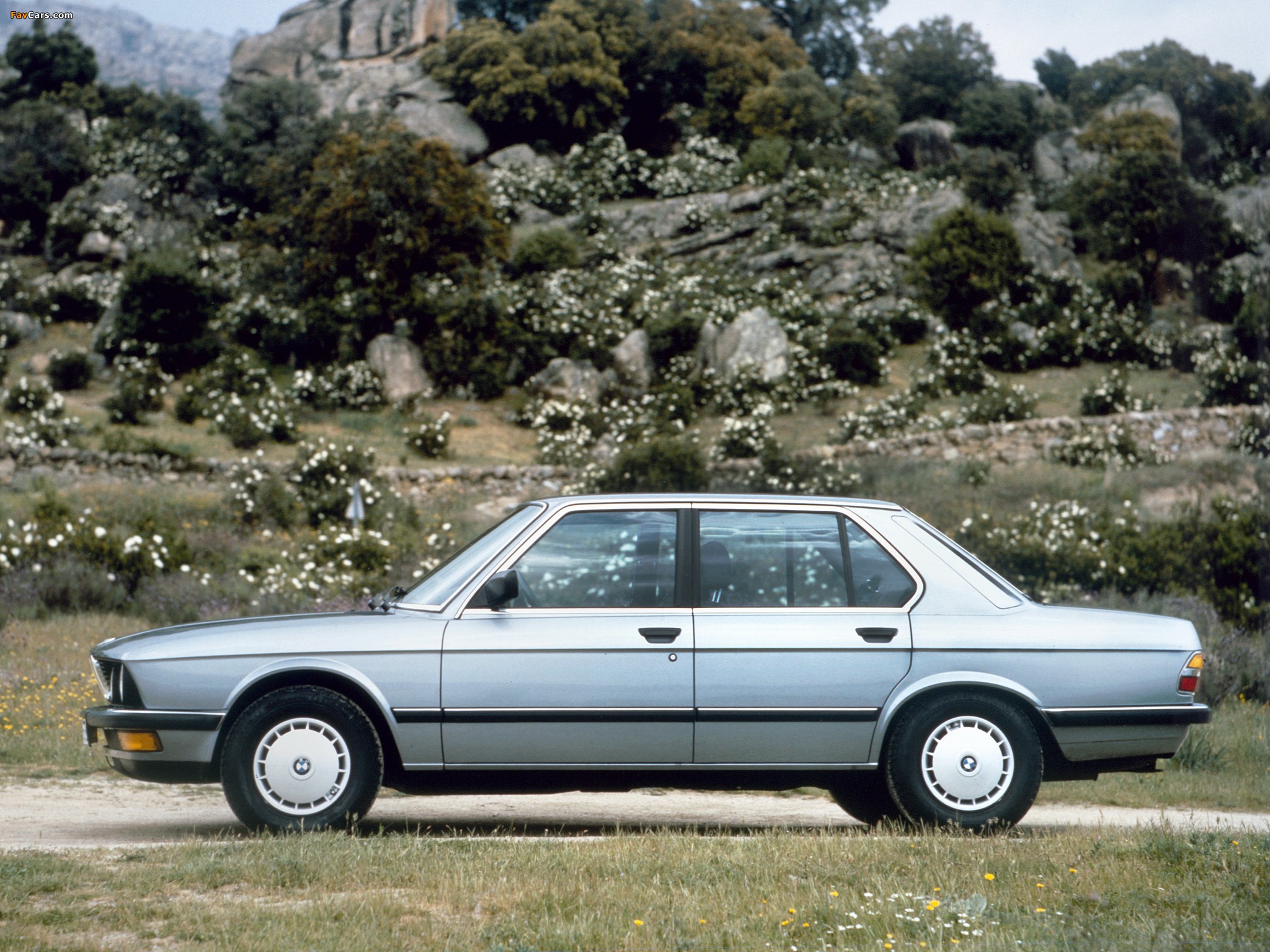 Images of BMW 524td (E28) 1983–87 (2048 x 1536)