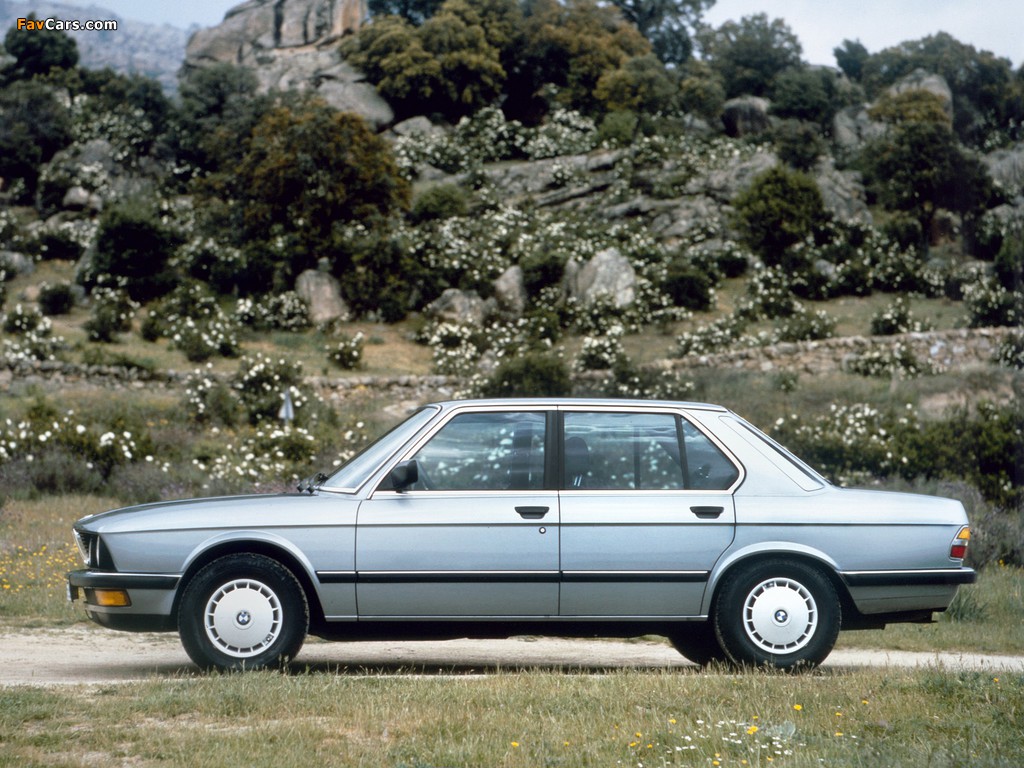 Images of BMW 524td (E28) 1983–87 (1024 x 768)