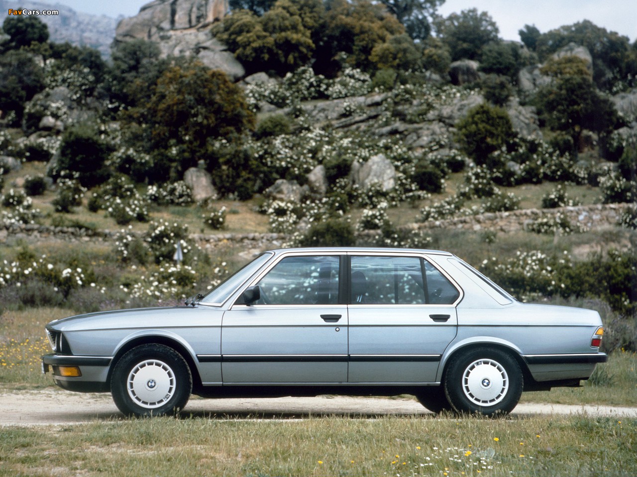 Images of BMW 524td (E28) 1983–87 (1280 x 960)