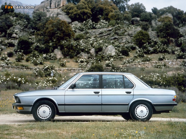 Images of BMW 524td (E28) 1983–87 (640 x 480)