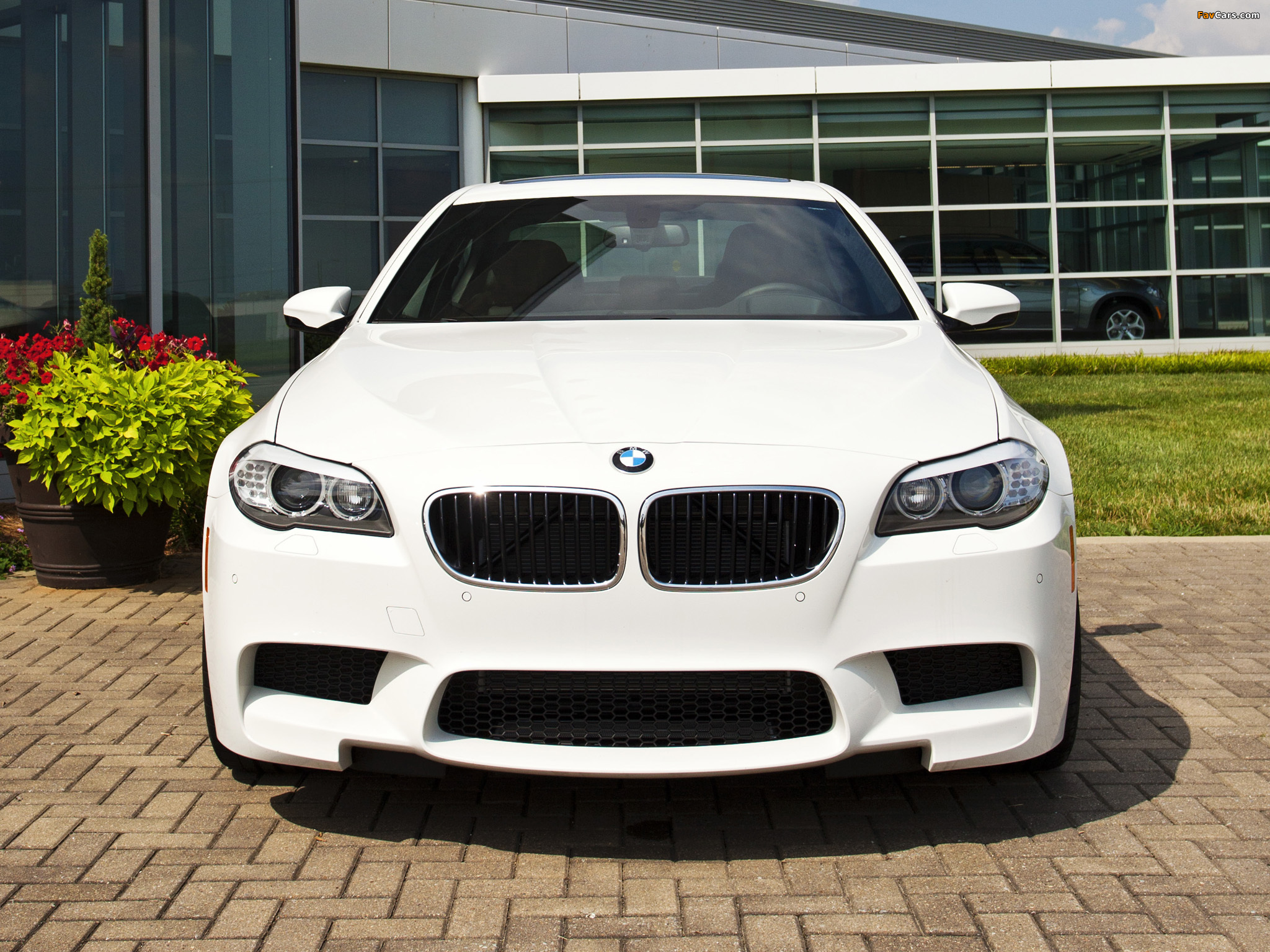 Images of BMW M5 US-spec (F10) 2011 (2048 x 1536)