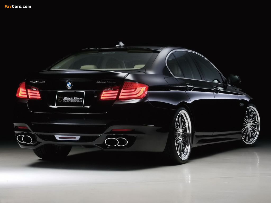 Images of WALD BMW 5 Series Black Bison Edition (F10) 2011 (1024 x 768)