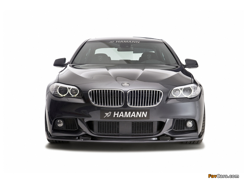 Images of Hamann BMW 5 Series M-Technik (F10) 2011 (800 x 600)