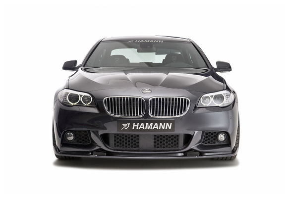 Images of Hamann BMW 5 Series M-Technik (F10) 2011