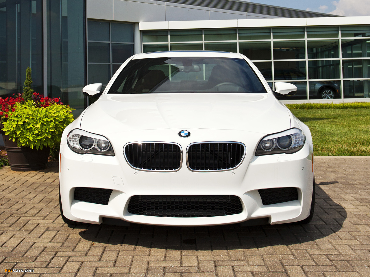 Images of BMW M5 US-spec (F10) 2011 (1280 x 960)