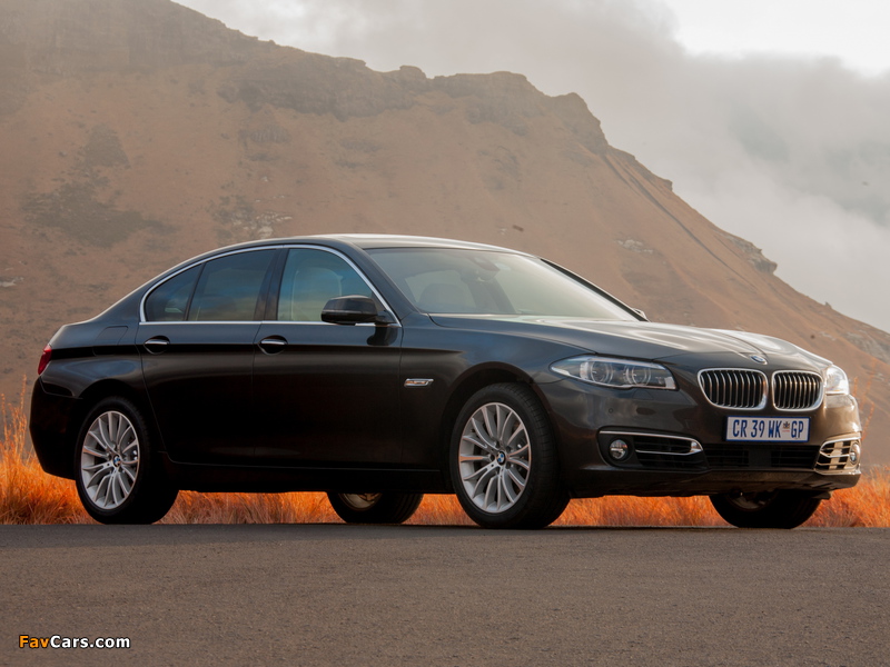 Images of BMW 520i Sedan Luxury Line ZA-spec (F10) 2013 (800 x 600)