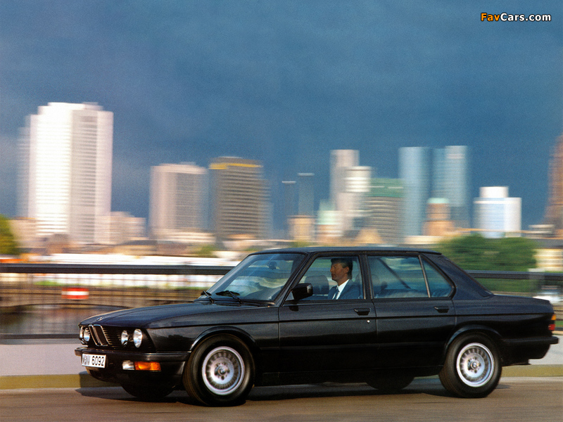 Photos of BMW 524d (E28) 1986–87 (800 x 600)