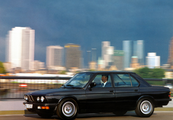 Photos of BMW 524d (E28) 1986–87