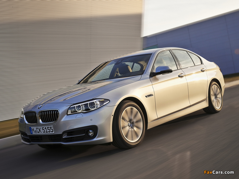 Photos of BMW 518d Sedan (F10) 2013 (800 x 600)