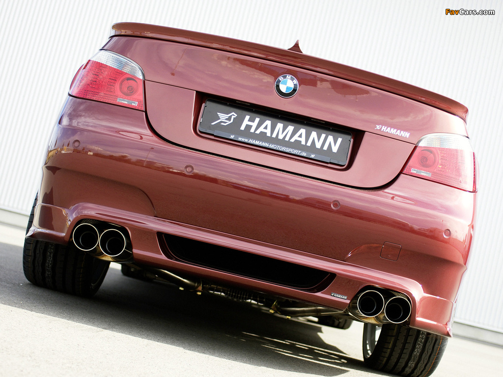 Pictures of Hamann BMW M5 (E60) (1024 x 768)