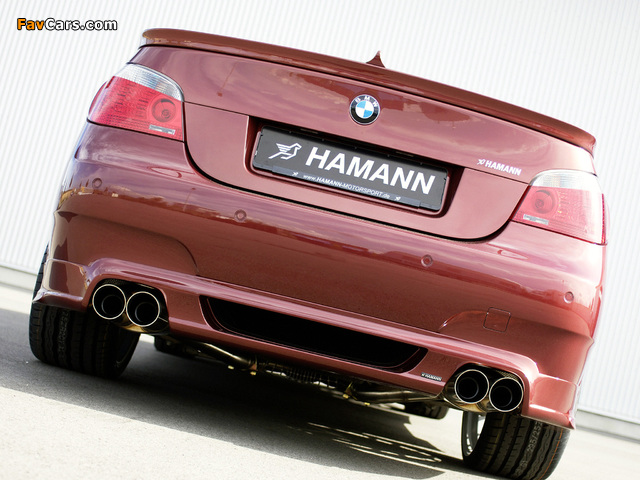 Pictures of Hamann BMW M5 (E60) (640 x 480)