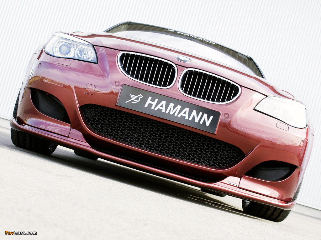 Pictures of Hamann BMW M5 (E60) (1024 x 768)