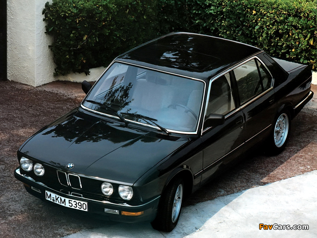 Pictures of BMW 524d (E28) 1986–87 (640 x 480)