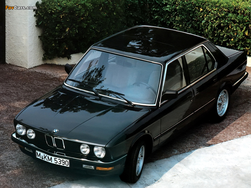 Pictures of BMW 524d (E28) 1986–87 (800 x 600)