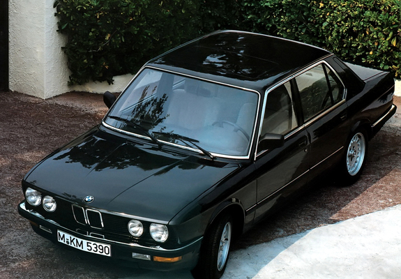 Pictures of BMW 524d (E28) 1986–87