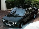 Pictures of BMW 524d (E28) 1986–87