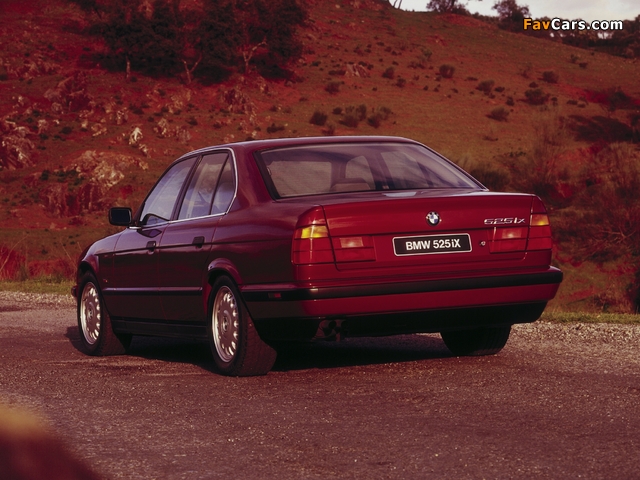 Pictures of BMW 525iX (E34) 1991–95 (640 x 480)