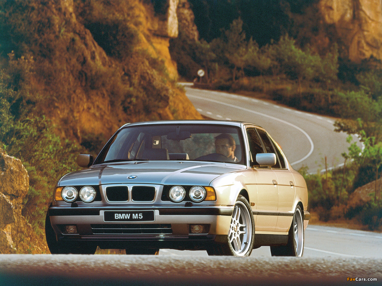 Pictures of BMW M5 Sedan (E34) 1994–95 (1280 x 960)