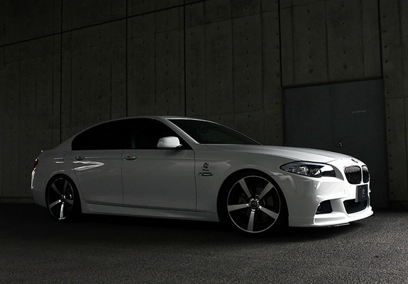 Pictures of 3D Design BMW 5 Series M Sports Package (F10) 2010