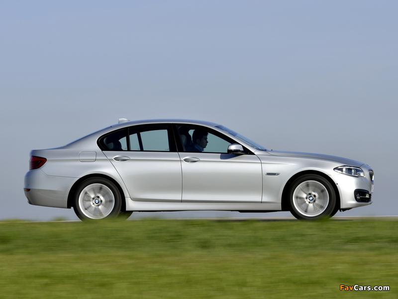 Pictures of BMW 518d Sedan (F10) 2013 (800 x 600)