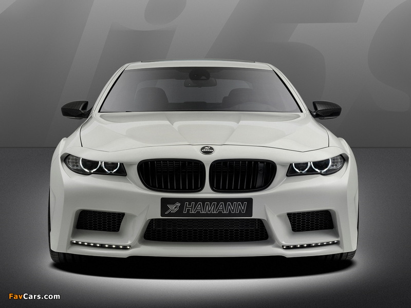 Pictures of Hamann Mi5Sion (F10) 2013 (800 x 600)