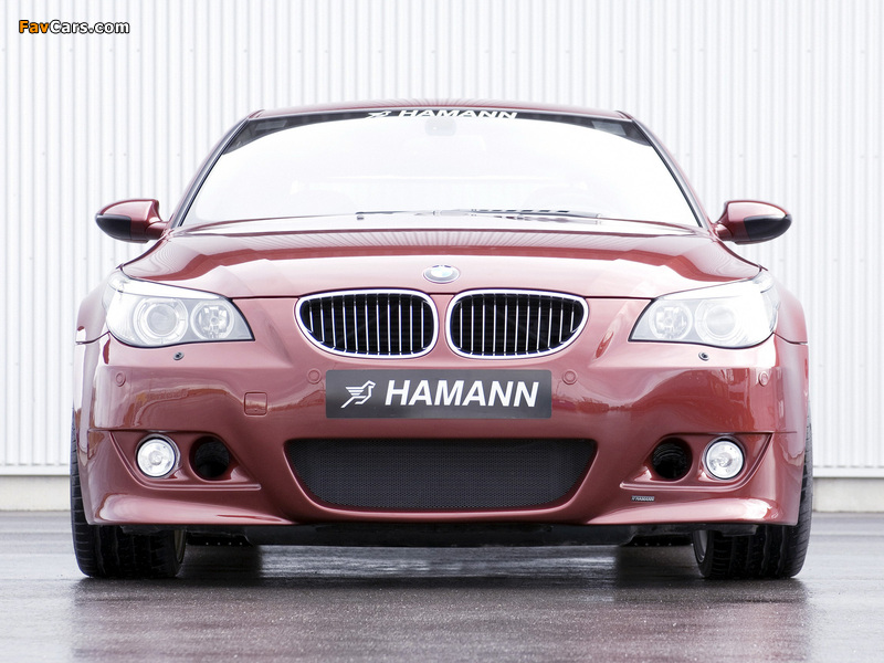 Pictures of Hamann BMW M5 (E60) (800 x 600)