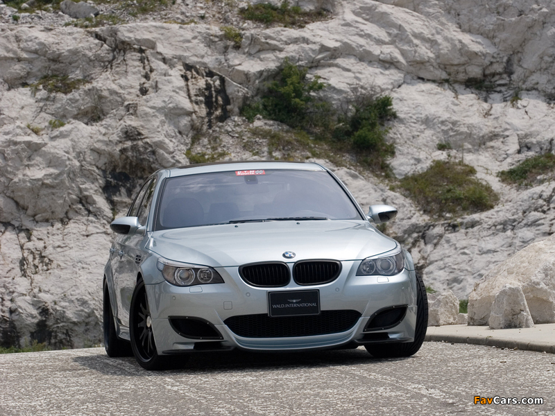 Pictures of WALD BMW M5 (E60) 2004–10 (800 x 600)