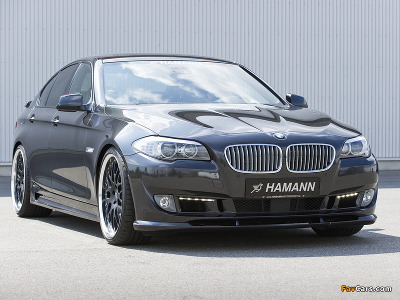Hamann BMW 5 Series (F10) 2010 wallpapers (800 x 600)
