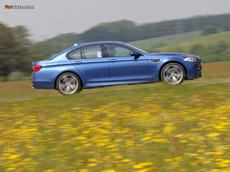 BMW M5 (F10) 2011–13 wallpapers (800 x 600)
