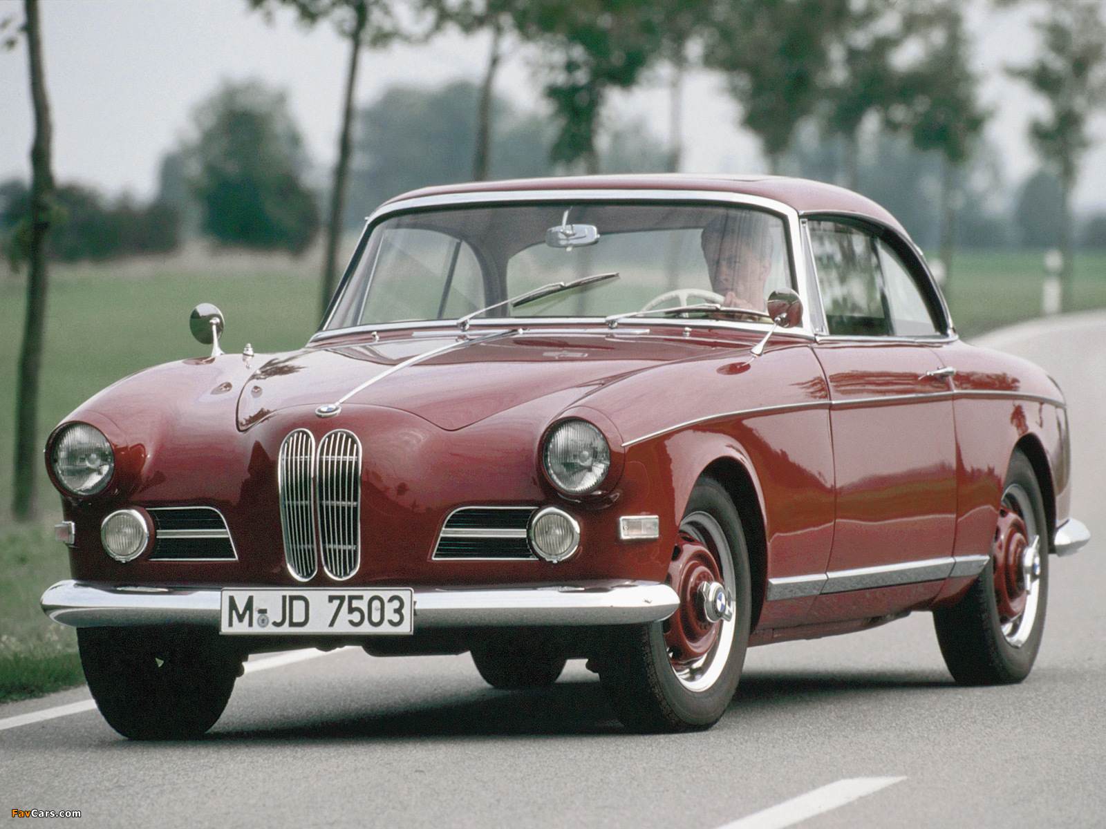 BMW 503 Coupe 1956–59 images (1600 x 1200)
